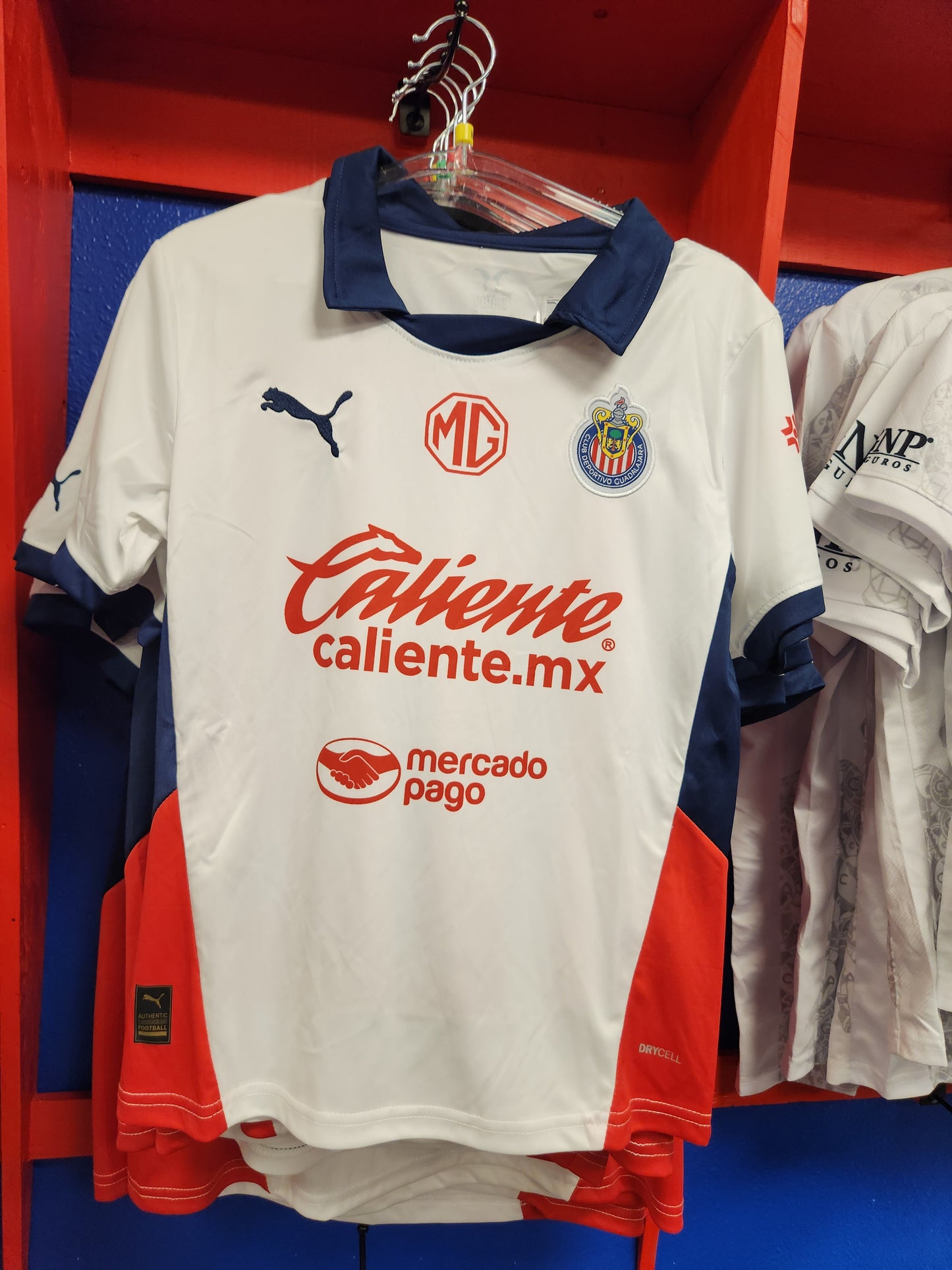 Chivas 24/25 Away Kit
